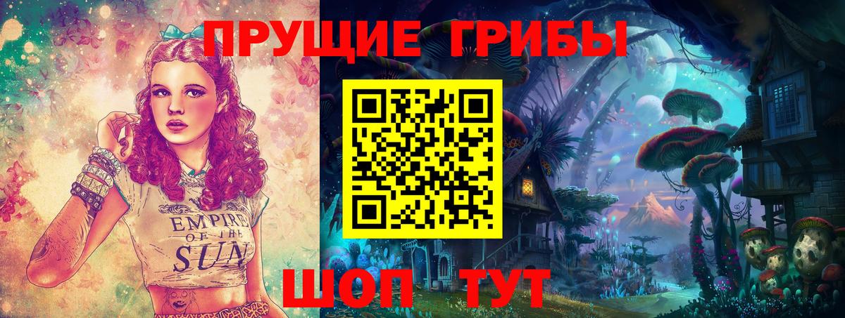 Галлюциногенные грибы Psilocybe  Вход с VPN  Богородск 
